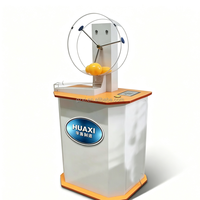 Machine de Bingo Électronique sur Pied Huaxi Factory Custom 50 Boules avec Système de Gravité pour Événements, Rassemblements et Collectes de Fonds