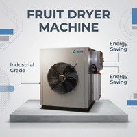 304 RVS Warmtepomp Fruitdroogmachine CE ISO Gecertificeerd