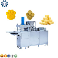 Machine à former des cubes de sucre pour la production de sucreries indiennes traditionnelles et de produits à base de sucre compressé