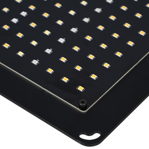 Lámpara de Cultivo LED Quantum de Espectro Completo de 300W con Control Inteligente y Chip 3030C para Cultivo Legal de Pimientos y Fresas - Product Image 2