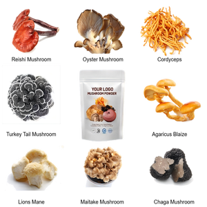 Polvo de <span class=keywords><strong>Hericium</strong></span> <span class=keywords><strong>Erinaceus</strong></span> 30% Glucano 2% Cetona de <span class=keywords><strong>Hericium</strong></span> <span class=keywords><strong>Erinaceus</strong></span> Polvo Puro de Hongo Melena de León - Product Image 5