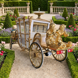 Calèche royale électrique personnalisée pour le tourisme, calèche extérieure de haute qualité - Product Image 1