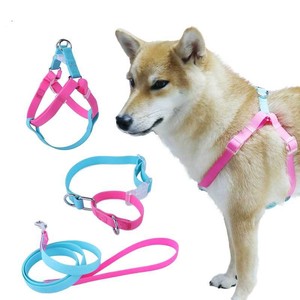 Kingtale kustom aksesoris anjing pemasok hewan peliharaan Macarons tahan air plastik PVC karet dapat dicuci tali leher anjing Harness - Product Image 2