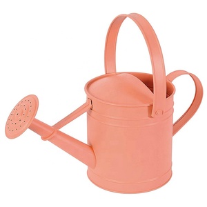 2.5 LT Đẹp Màu Mạ Kẽm Kim Loại Sắt Tưới Nước Lon Nước Nhỏ Có Thể Cho Các Nhà Máy Trẻ Em Tưới Nước Nồi - Product Image 4