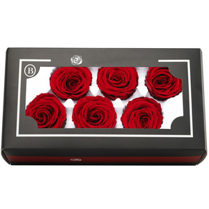 Venta al por Mayor de Cabezas de Rosas Preservadas Reales, Color Mocha Mousse Blanco, Rosa Eterna para Decoración de Bodas, Manualidades, Rosa Eterna en Flor - Product Image 5