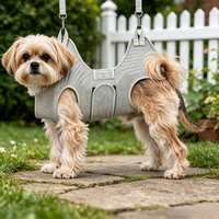 Ensemble de toilettage pour chien 7 en 1, outils de beauté tout compris pour petits chiens