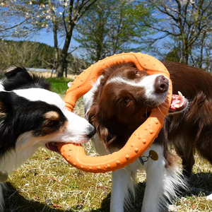 Đuổi theo con chó ngoài trời <span class=keywords><strong>Frisbee</strong></span>, mềm cao su vật nuôi nhai đồ chơi, thân thiện với môi ngoài trời đào tạo kéo Đồ chơi cho chó Đào Tạo - Product Image 6