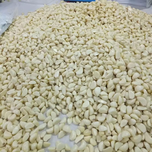 Machine à éplucher l'ail entièrement automatique en acier inoxydable, facile à utiliser, sans dommages, garantie 1 an pour les industries agricoles - Product Image 5