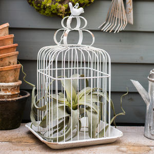 Dekoratif düğün Centerpiece Vintage sıkıntılı Metal masa kafes kuş masa süsü kafes - Product Image 1