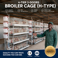Cage à batterie de type H pour poulets de chair, automatisée, galvanisée, pour 96 oiseaux, à usage industriel