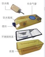 Equipo de laboratorio para animales con pantalla táctil, sistema ventilado individual, jaula para cría de ratones y ratas (estante ivc)