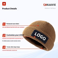 Gorro de lana de invierno transfronterizo con bordado 3D, personalizable de fábrica, ligero, resistente al desgaste, cálido, transpirable, unisex, de punto para exteriores.