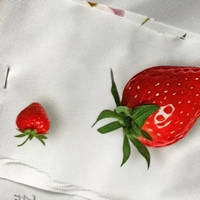 Nappe en polyester brossé printemps-été, largeur 100cm-320cm, AATCC / TCVN, tissu de canapé, couverture de table pour fête, pique-nique, dîner, décoration