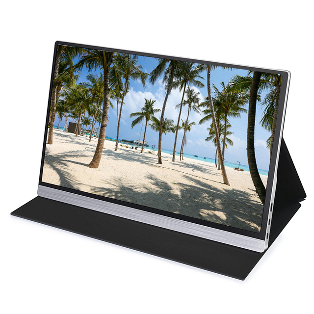 OEM/ODM FHD 1080P 15.6" Inch Touch Screen Portable Monitor IPS HDR LED TFT USB Type-C Extended Screen Laptop