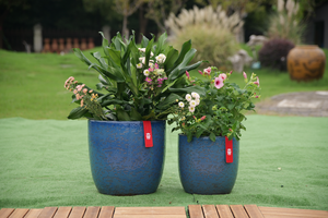 Maceta de Cerámica Ecológica Inspirada en la Arcilla Natural con Orificio de Drenaje, Transpirable y Porosa para Interiores y Exteriores - Product Image 5