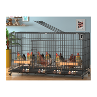 Poulailler Ménager Pondoir à Nettoyage Automatique et Ramassage d'Œufs, Cage d'Élevage Pliante pour Poules