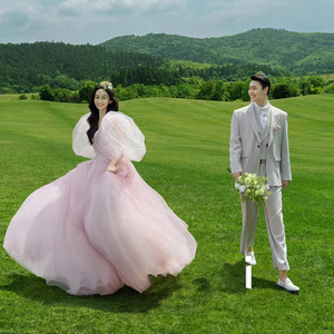 Pink Ball Gown Wedding Dress V Neck Empire Waist Tulle Long Sleeve For Outdoor Photography Studio Wear - Product Image 4