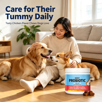 Probiotiques Quotidiens en Gros pour Chats et Chiens : Optimisez la Microbiome Intestinale – Probiotiques Vivants Haute Puissance Saveur Poulet et Enzymes