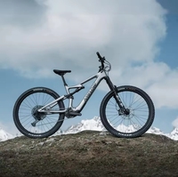 Vélo de montagne électrique en fibre de carbone Amflow PL Carbon 800Wh pour la conduite en plein air