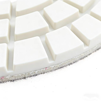 Disque abrasif diamanté JDK 9 pouces, extra fin, à liaison dure, pour utilisation humide/sèche, compatible avec les meuleuses d'angle, pour pierre, granit, marbre, sols