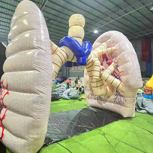 विशाल inflatable फेफड़ों के शरीर से बाहर सामुदायिक चिकित्सा शिक्षा चिकित्सा प्रदर्शनियों के लिए मानव अंगों को उड़ा देता है - Product Image 3