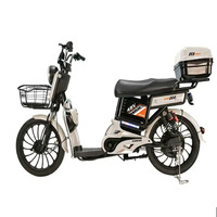 Vélo électrique 48V Batterie au plomb-acide Scooter électrique à deux roues Vélo électrique avec longue autonomie Moteur 500W 30-50km/h