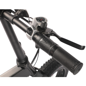 Bicicleta de Montaña eléctrica plegable de 20 pulgadas, velocidad rápida <span class=keywords><strong>2021</strong></span>, 48v, 10ah, 500w/750w/1000w, 500w, para playa, Cruiser - Product Image 5