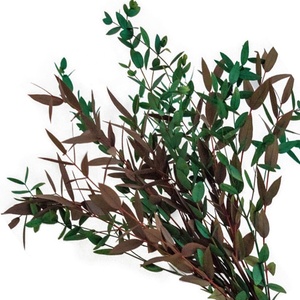 Kurutulmuş okaliptüs yaprakları çiçekler korunmuş okaliptüs çiçek dekorları düğün tasarım için ebedi çiçek bırakır - Product Image 2