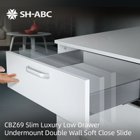 Glissières de tiroir robustes SH-ABC Slim en acier inoxydable pour armoires de cuisine, salle de bain, chambre et hôtel
