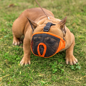 Mõm ngắn cắn nhai sủa welike Chó Mõm <span class=keywords><strong>Pug</strong></span> Chó Mõm Bulldog mõm - Product Image 4