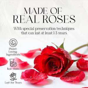 ช่อดอกกุหลาบนิรันดร์ Glamour Boutique ขนาด 9.5 x 3.8 x 13.3 นิ้ว ดอกไม้ประดิษฐ์ ของขวัญสำหรับวันวาเลนไทน์ - Product Image 6