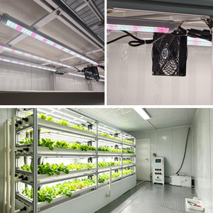 Sistema de Hidroponía para Invernaderos Agrícolas, Granja en Contenedores, Agricultura Vertical Interior, Negocio, Familia, Comunidad, Hidroponía a Gran Escala - Product Image 4