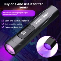 Lampe UV LED rechargeable en plastique ultra-mince 3,7 V (395 nm, 365 nm) pour détection de faux billets, test d'agents fluorescents et usage en camping – Vente en gros