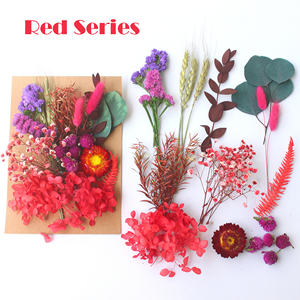 <span class=keywords><strong>Kit</strong></span> de fleurs séchées naturelles pressées, mélange de feuilles d'eucalyptus pour la création de bijoux en résine, le nail art, la fabrication de bougies, la décoration bohème de la maison - Product Image 3