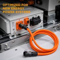 Harnais de câblage haute tension isolé PBT pour véhicules électriques et énergies renouvelables avec protection IP67 pour assemblage de câbles professionnels