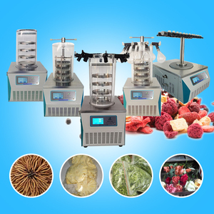 เครื่องอบแช่แข็งแบบสูญญากาศเครื่องทำวิจัยขนาดเล็ก TOPT-10B ในห้องปฏิบัติการ - Product Image 6