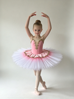 Robe de tutu de ballet rose à bretelles spaghetti pour filles, broderie dorée, jupe en tulle dégradé, costume de performance de ballet professionnel