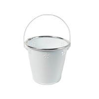 Seau de décoration en métal Pot coloré enduit de poudre Mini seau pour plantes Boîte cadeau de bonbons en fer galvanisé pour la maison et le jardin