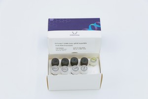 EQ007 20ul X 100rxn Mezcla de <span class=keywords><strong>PCR</strong></span> RT SYBR Green de un solo paso para investigación - Product Image 4