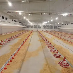 Poultry-Feed-Production-Line Feeding Line For Poultry Chicken Feeder Machine