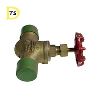 Vanne de moteur Diesel wargyle, Globe en Bronze hydrophobe Marine avec filetage externe, vente directe d'usine