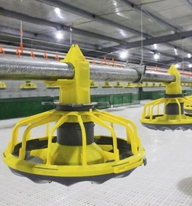 Excelente Servicio Postventa, Equipo Automático Integral para <span class=keywords><strong>la</strong></span> Cría de Pollos, para Granjas Avícolas de Gran Escala - Product Image 2