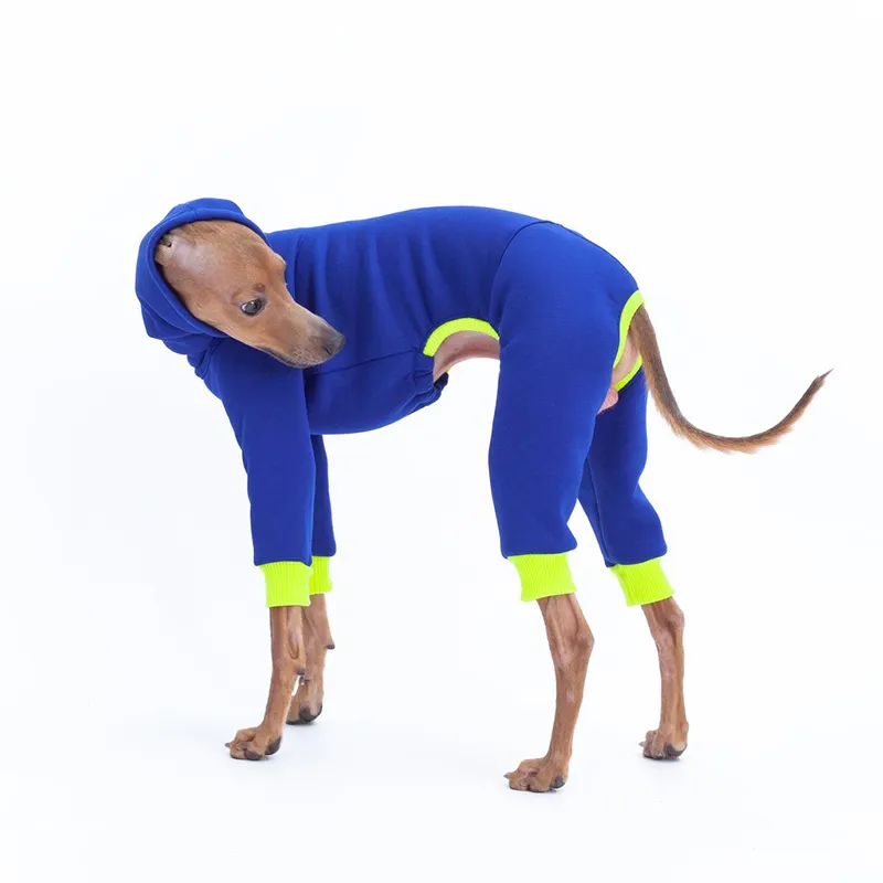 Толстовки с рисунком собаки одноцветной одежды для животных поставщиков 4-ноги в тепле зимние класса люкс ручной работы, изготавливаемая на заказ, одежда с принтом в виде собак