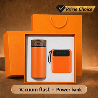 Gourde isotherme mini portable 300 ml avec batterie externe 10000 mAh, design grain de bois, ensemble cadeau créatif