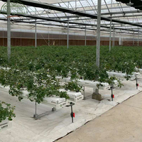 Système hydroponique de culture de roses SUNSGH Green House