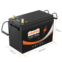 Expédition rapide - Batterie au lithium LifePo4 24V 100Ah 12V 100Ah avec BMS 100A - Batterie solaire pour camion, bateau, chariot élévateur - LFP