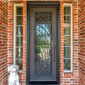 Design dell'ingresso esterno antiruggine con <span class=keywords><strong>porta</strong></span> in ferro ad arco singolo personalizzato - Product Image 4