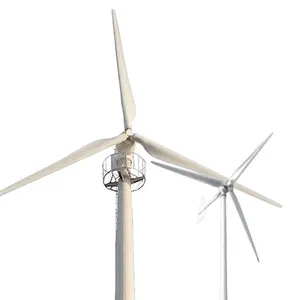 Turbina eolica del generatore del mulino a vento della dinamo orizzontale di tipo 5KW 220V della fabbrica della cina con il corpo del acciaio al carbonio