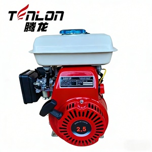 <span class=keywords><strong>Moteur</strong></span> à essence TL152F P 2,5 HP 98cc, best-seller, avec démarrage manuel, pour petite pompe à eau, cultivateur et machines de bricolage - Product Image 1