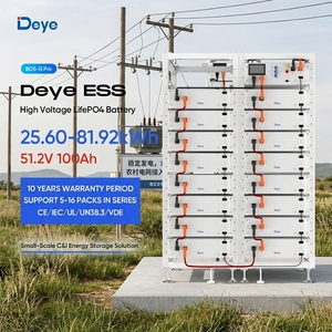 <span class=keywords><strong>Prix</strong></span> d'usine Deye BOS-G Pro ESS <span class=keywords><strong>Batterie</strong></span> LifePO4 51.2V 100Ah 5.12kWh 25.6kWh-81.92kWh Module 19 pouces pour l'alimentation hors réseau rurale - Product Image 1